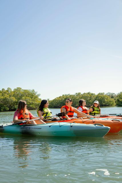 Boca Ciega Bay Island Kayak Tour - Important Details