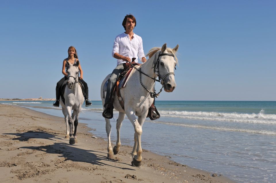 Bodrum: Horseback Riding Experience - Suitability and Experience Level