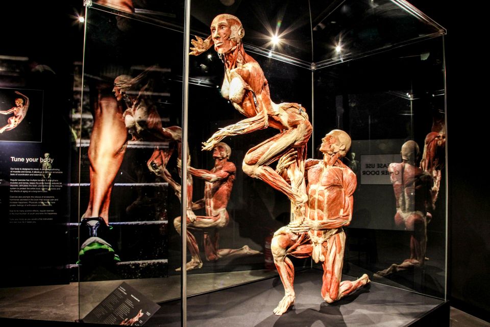 Body Worlds Amsterdam: The Happiness Project Ticket - Free InBody Scan