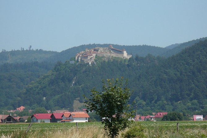 Bran Castle With Optional Bear Sanctuary From Brasov - Exploring Bran Castle