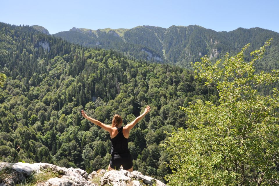 Brasov: Small-Group 7 Ladders Canyon Day Trip - Customer Reviews and Ratings