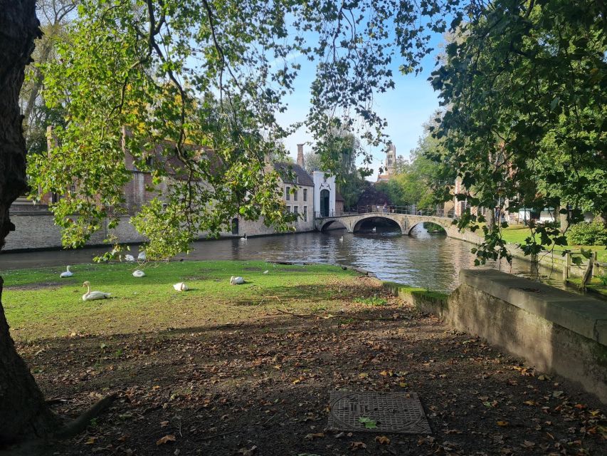 Bruges Through the Eyes of a Local, Small Private Group - Preparation and Essentials