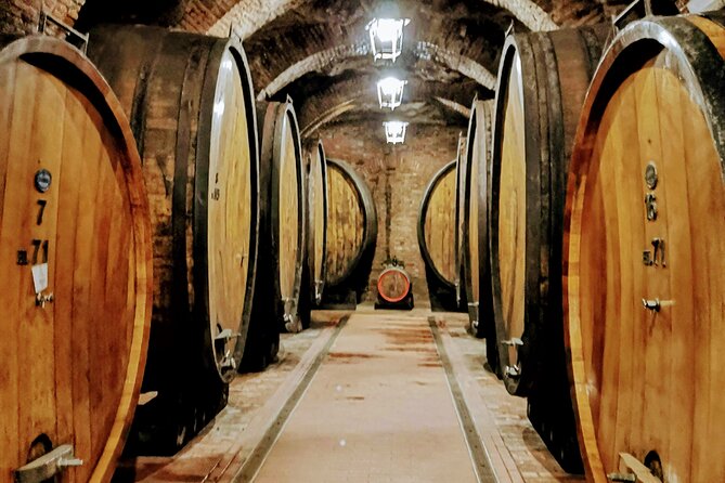 Brunello and Nobile, Wine Lover Tour Montalcino and Montepulciano - Convenient Transportation Provided