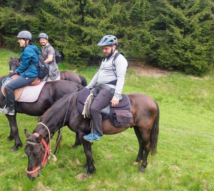 Bucharest: Horseback In the Nature and Traditional Lunch - Reservation and Cancellation Policy