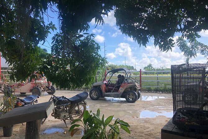 Buggies Half Day Experience and Cenote - Buggy Adventure