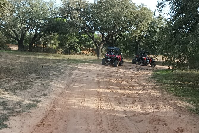 Buggy Adventure - 2 Hours Off-Road Guided Tour From Albufeira - Scenic Routes