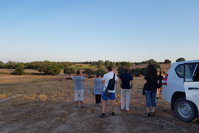 Bull Breeding Farm: Guided Half-Day Tour From Seville - Meeting Points and Pickup