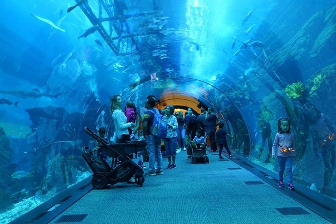 Burj Khalifa, Dubai Aquarium and Underwater Zoo Combo Tickets - Inclusions and Transportation