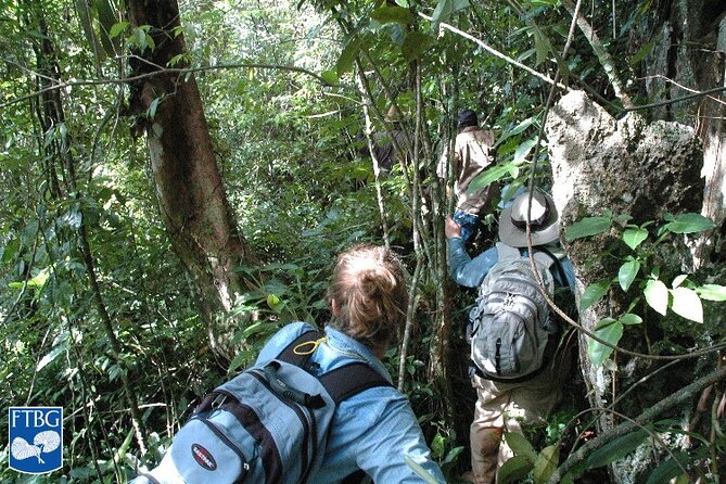 Bush Hiking to Explore Wild Plants & Fresh Fruits,Montego Bay - Confirmation and Accessibility Information