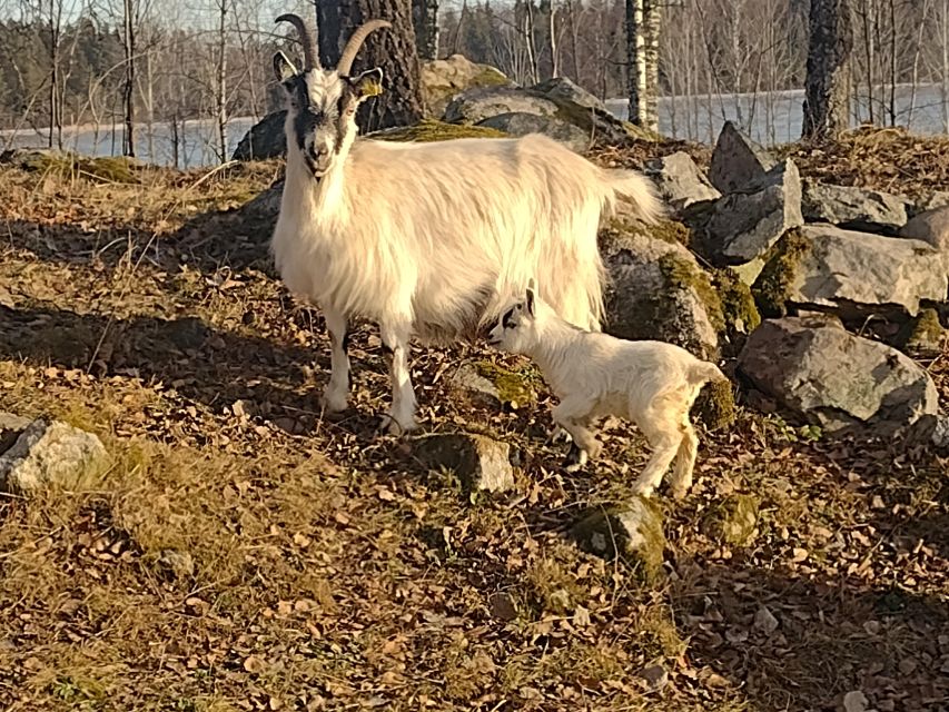 By Kyrkby: Short Bike Tour to the NP Färnebofjärden - Booking and Cancellation