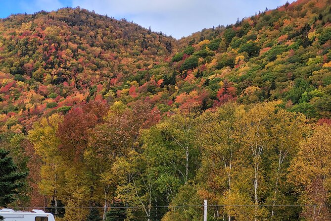 Cabot Trail Private Full Day Tour - Exploring Cape Bretons Natural Beauty