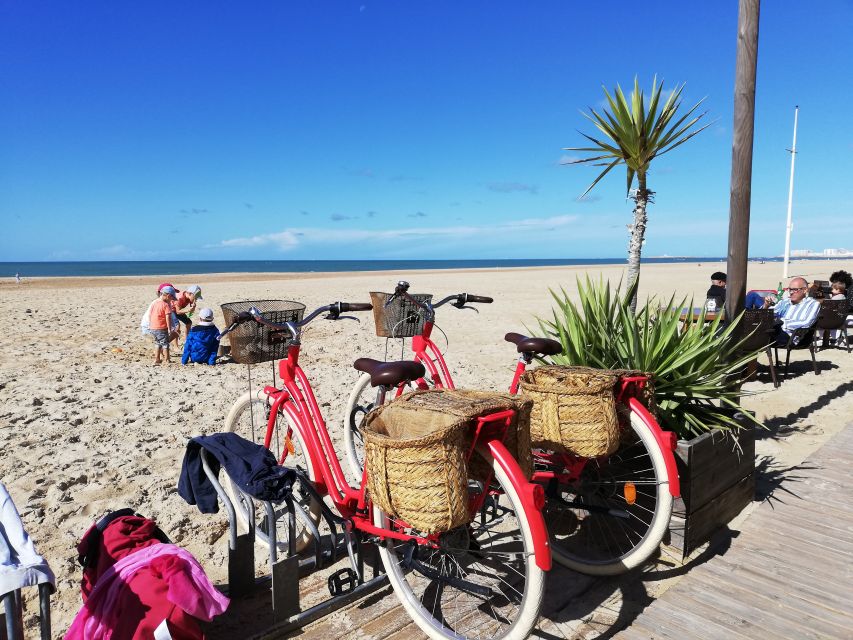 Cadiz: Private Tour With Tapas, Wine Tasting and Bike Rental - Pickup and Drop-off