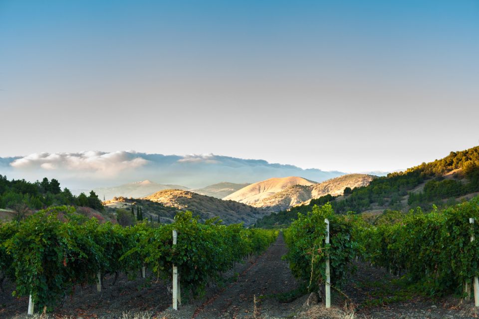 Calaveras/Tuolumne Digital Wine Tasting Passport - Frequently Asked Questions