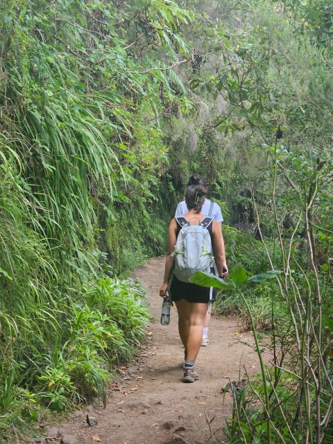 Caldeirão Verde Trail by Overland Madeira - Recommended Clothing and Gear