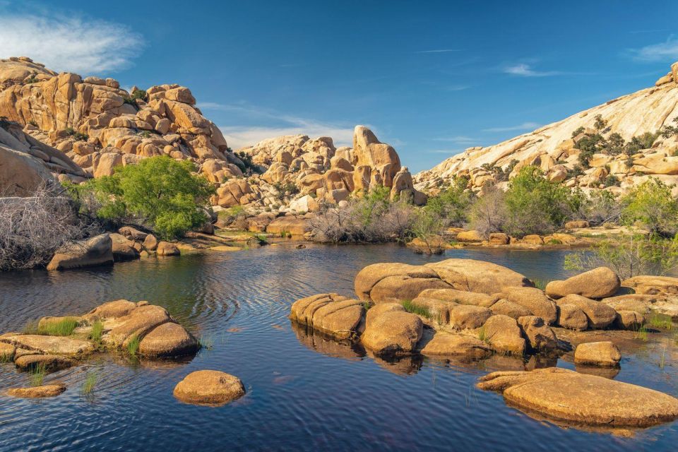 California Bundle: Self-Guided Audio Driving GPS Tour - Joshua Tree National Park