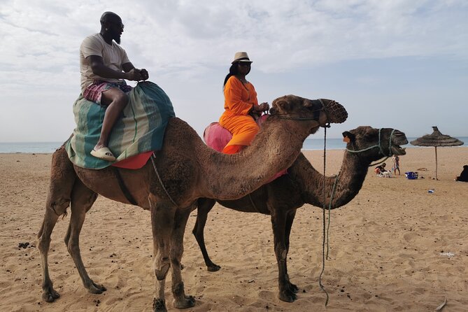 Camel Ride in Tangier - Tangiers Landscapes From a Camel