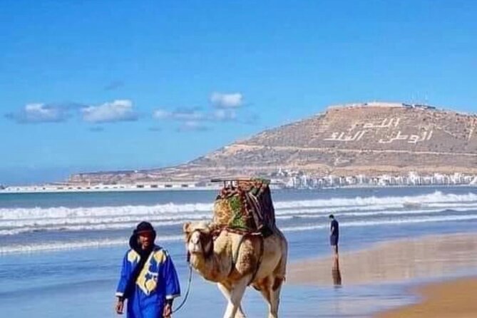 Camel Riding Agadir - Wildlife Sighting Opportunities