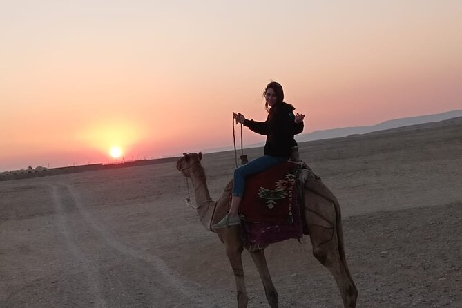 Camel Riding Tour in Luxor West Bank - Accessibility and Amenities