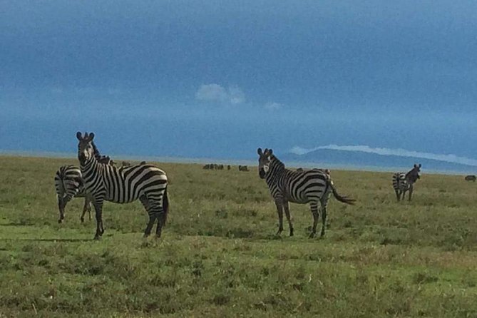 Camping to Serengeti & Ngorongoro Premium Parks - Ngorongoro Crater Exploration