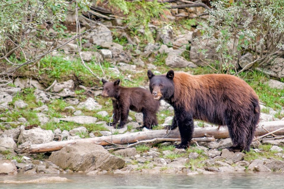 Canadian Rockies 7–Day National Parks Group Tour - Visa and Travel Requirements