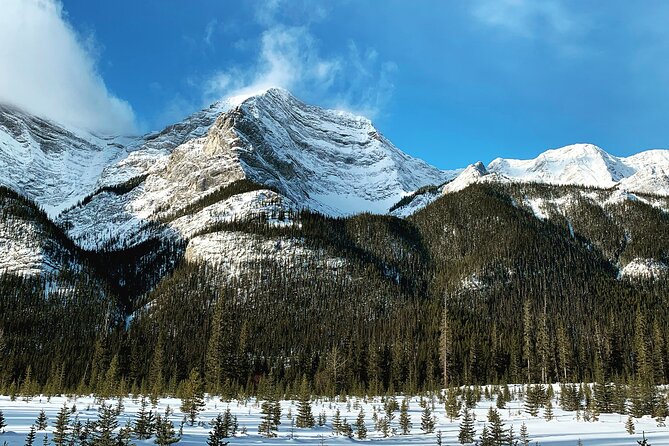 Canmore: Wilderness & Wildlife Walking Tour - 2hrs - Getting to the Meeting Location