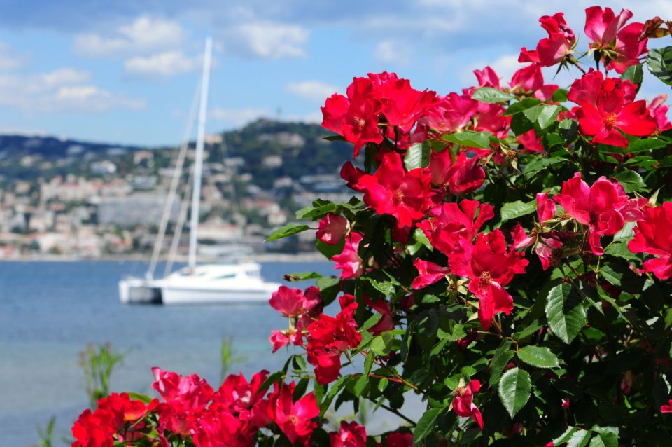 Cannes: Private Trip to Grasse, Antibes, & St. Paul De Vence - Overall 5/5 Rating From Travelers