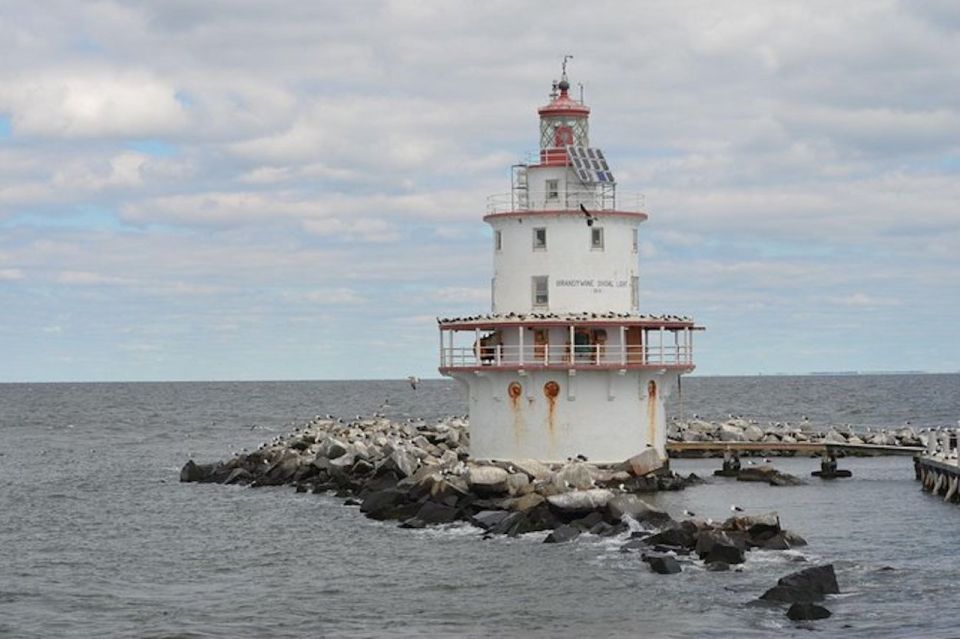 Cape May: Grand Lighthouse Cruise - Frequently Asked Questions