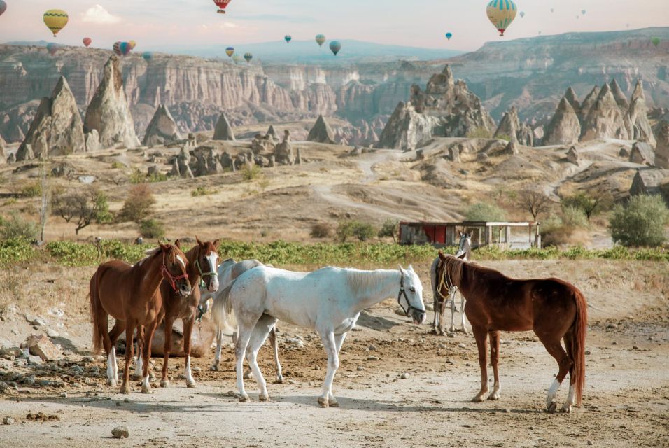 Cappadocia: Sunset Horseback-Riding Tour - Recap