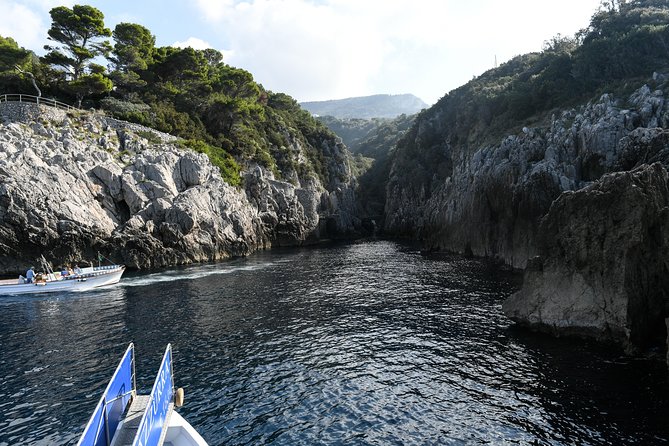 Capri One Day – Visit the Island by Sea and Land With Blue Grotto - Additional Information