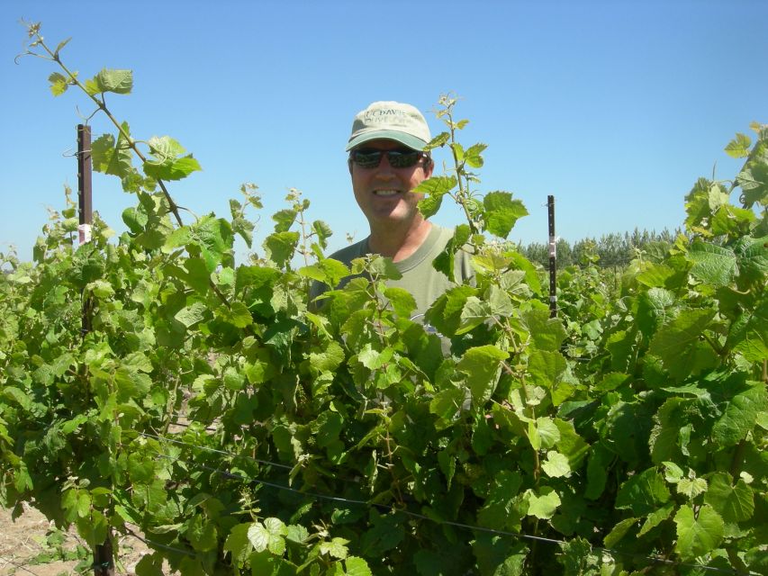 Carmel Valley Wine Tasting Tour - Guided Vineyard Walk (Weather Permitting)