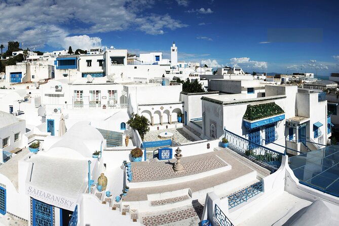 Carthage, Bardo Museum, Sidi Bou Said and Medina Private Day Tour - Exploring Tunis Medina