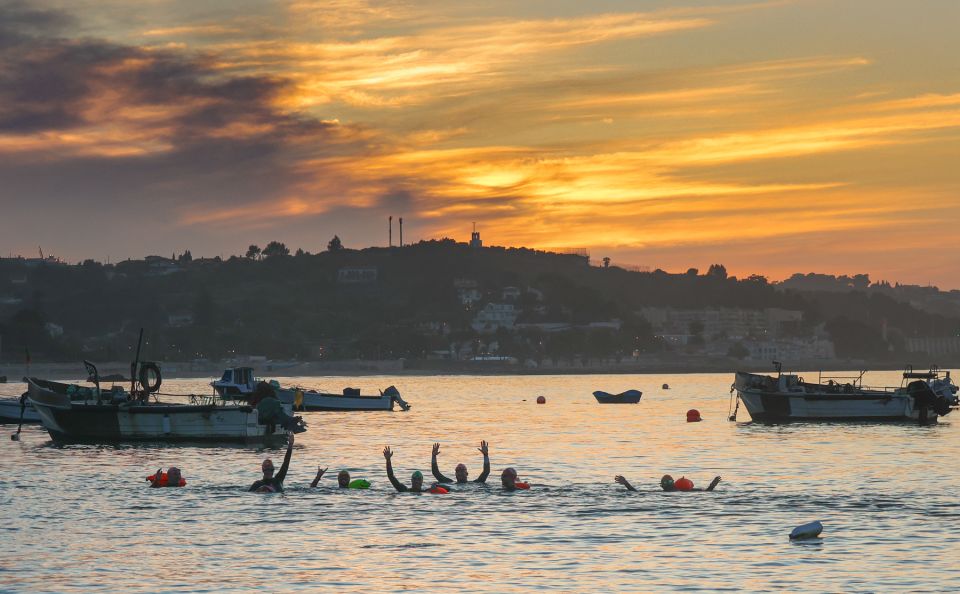 Cascais: Open Water Swimming - Marine Life Awareness