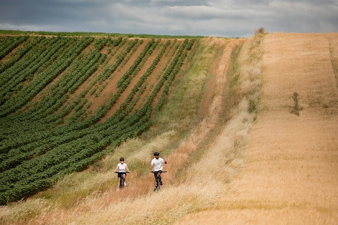 Castiglion Fiorentino - Ebike Tour in the Tuscan Countryside - Age and Group Size Restrictions