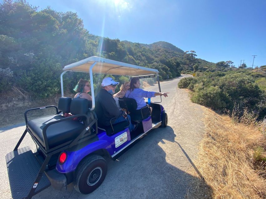 Catalina Island: Private Guided Golf Cart Tour of Avalon - Knowledgeable Local Guide Expertise