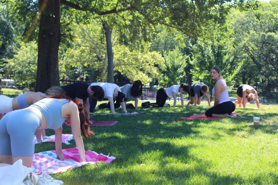 Central Park: Highest Rated Yoga Class in New York City! - Booking and Availability Information