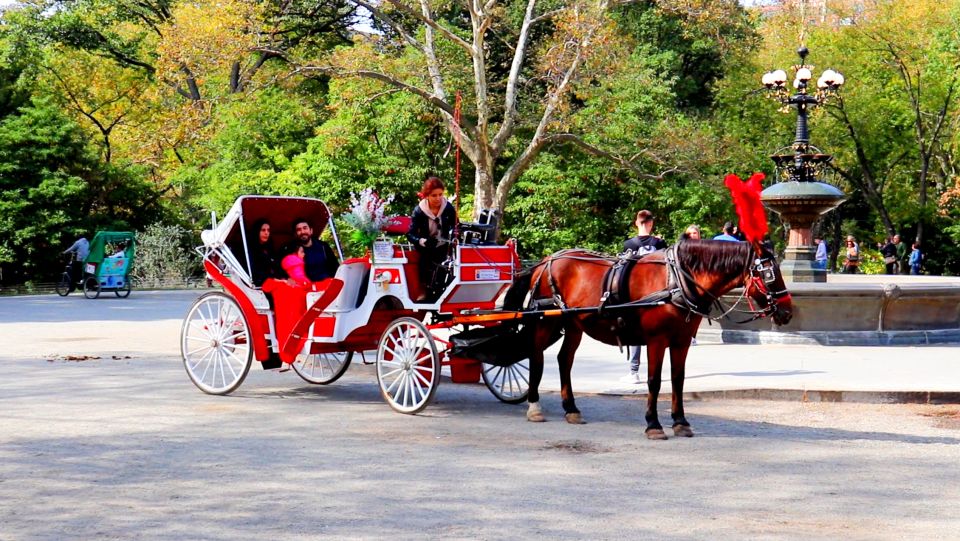 Central Park: Short Horse Carriage Ride (Up to 4 Adults) - Meeting Point Information