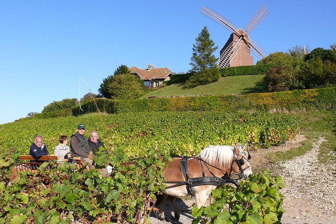 Champagne Day Tour With Reims, Cellars Visit & Champagne Tasting From Paris - Overall Traveler Ratings and Impressions