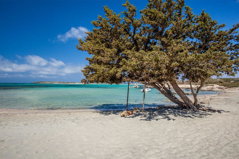 Chania: Elafonisi and Milia Mountain With Loungers and Lunch - Highlights of the Tour