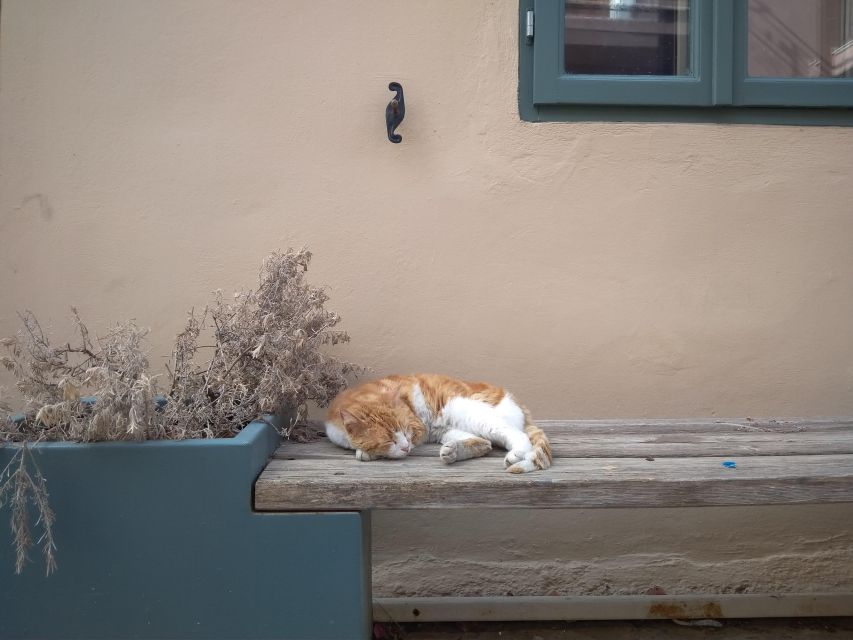 Chania Old Town: Artisans & Sightseeing Walking Tour - Accessibility and Languages