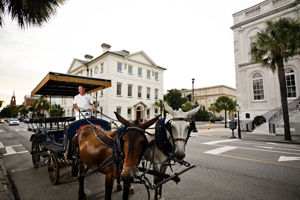 Charleston: Downtown Evening Haunted History Carriage Tour - Customer Reviews and Ratings