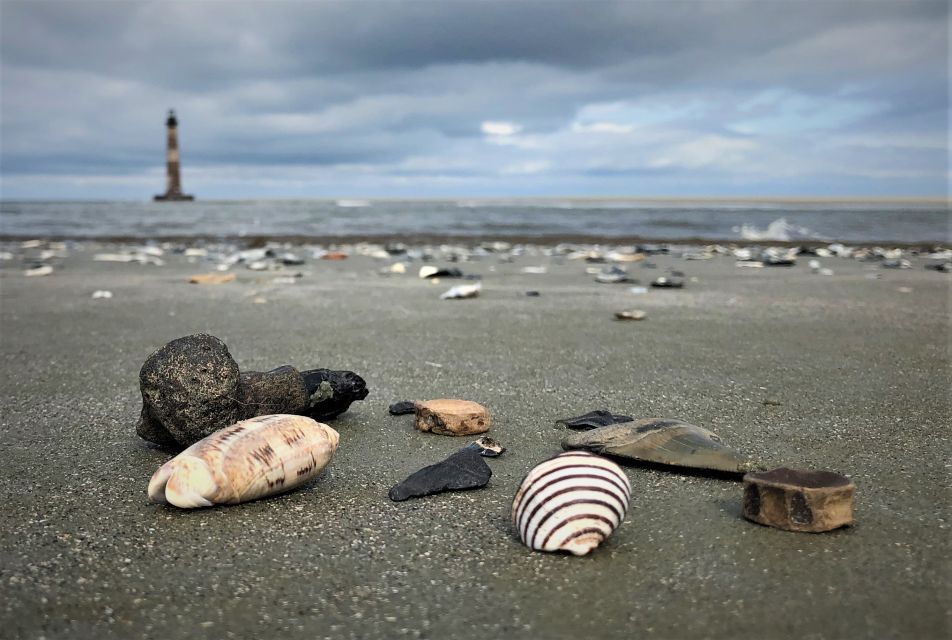 Charleston: Morris Island Dolphin Cruise With Beachcombing - Recommendations and Restrictions