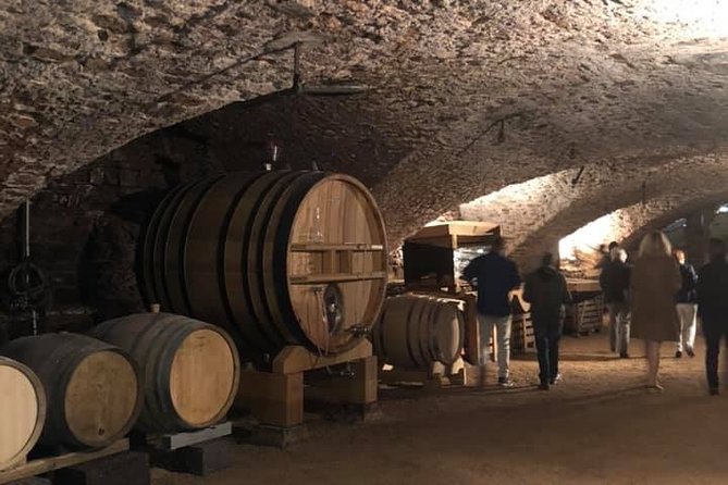 Cheese and Wine Accord Tour at Château De Champ-Renard - Accessibility and Additional Information