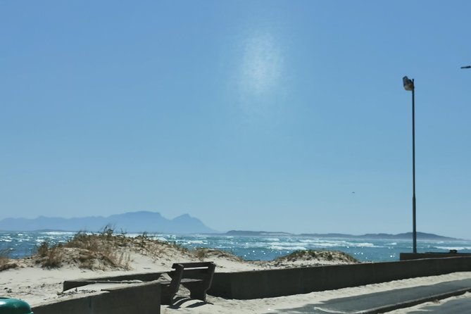 Cheetah Outreach Tour Somerset West, Gordons Bay and Strand Beaches - Lunch and Refreshments