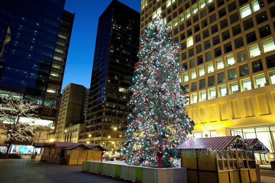 Chicago's Festive Lights: A Magical Christmas Journey - Tour Inclusions and Booking