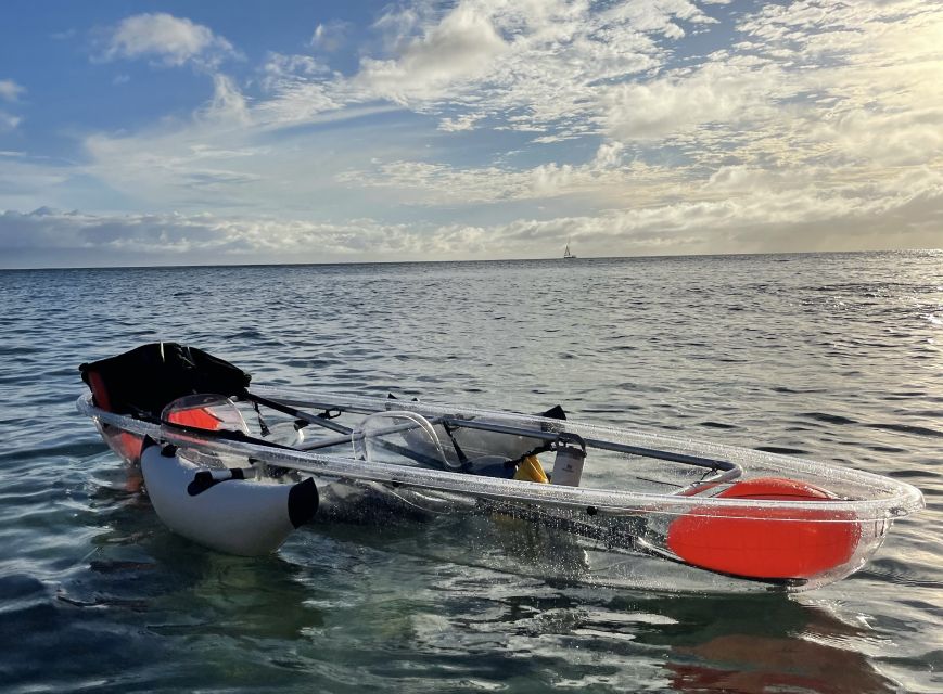 Clear Bottom Glassy Kayak Rental | Safe and Stable Kayaks - Customer Feedback and Ratings