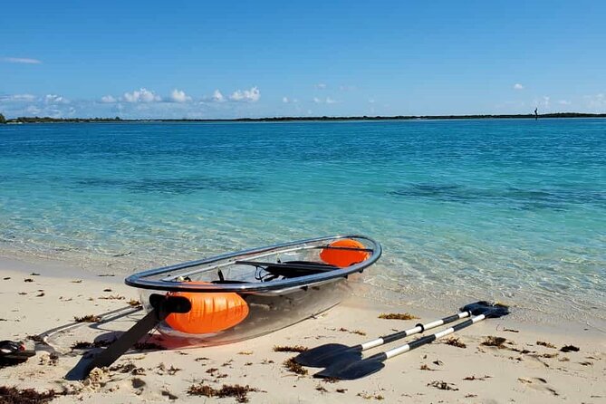 Clear Bottom Kayak Mangrove Eco Tour - Wildlife Encounters