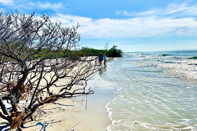 Clear Kayak Tour of Shell Key Preserve and Tampa Bay Area - Guest Reviews and Feedback