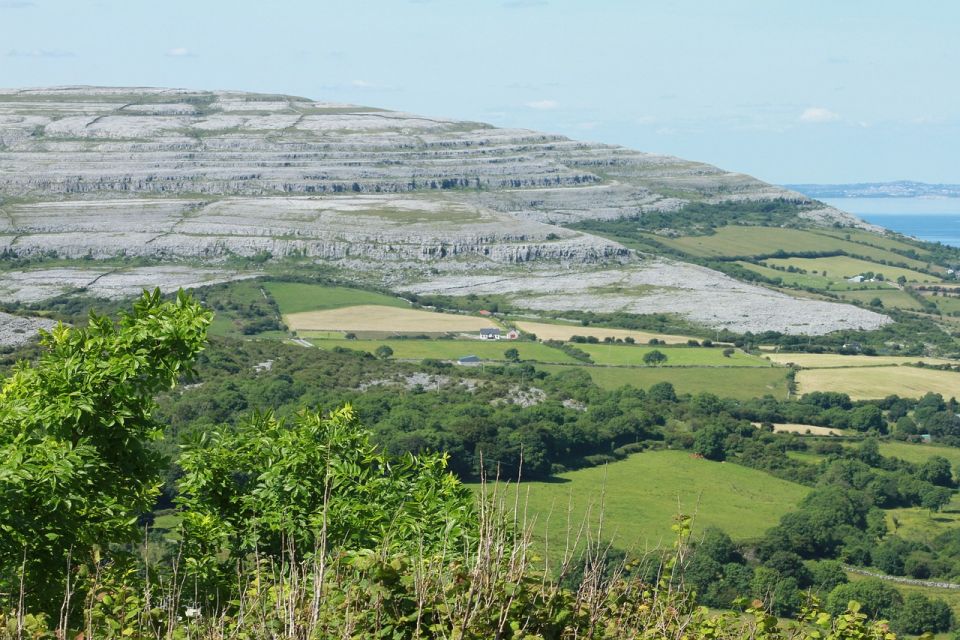 Cliffs of Moher Private Day Tour - Booking Information