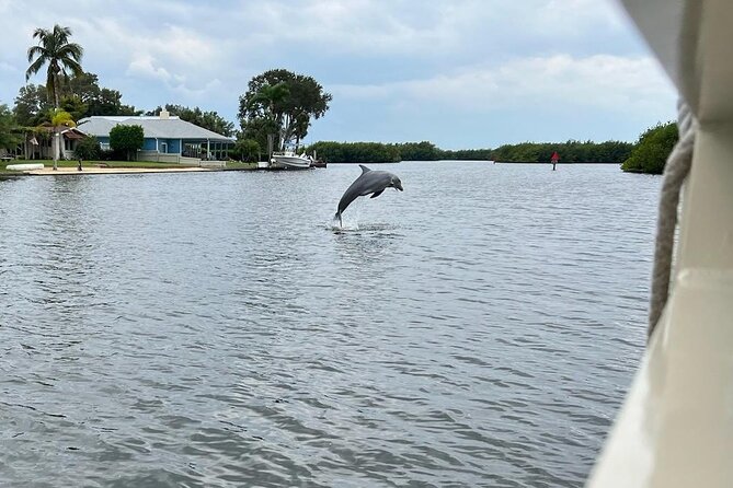 Cocoa Beach Dolphin Tours on the Banana River - Eco-Friendly Exploration