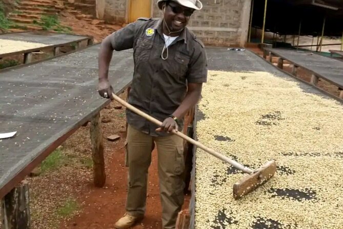 Coffee Farm Tour, Coffee Roasting and Tasting Experience - Personalized Coffee Tasting